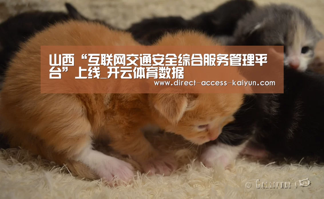 山西“互联网交通安全综合服务管理平台”上线_开云体育数据(图1) 开云直播