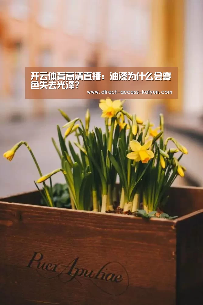 开云体育官网