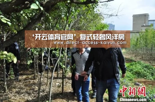 ‘开云体育官网’复式轻奢风洋房(图3) 开云体育数据中心
