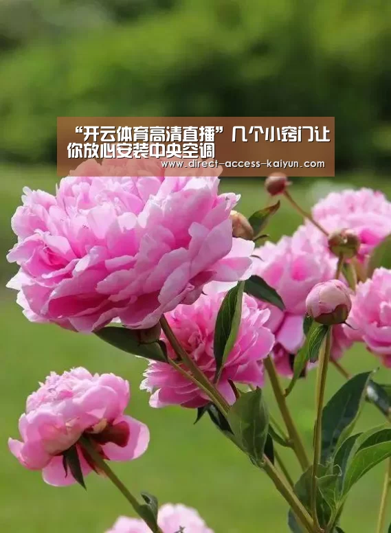 “开云体育高清直播”几个小窍门让你放心安装中央空调(图2) 开云体育高清直播