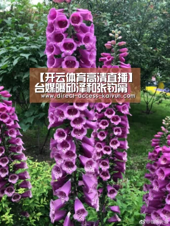【开云体育高清直播】台媒曝邱泽和张钧甯恋情 两人开车约会兜风(图1) 开云体育高清直播